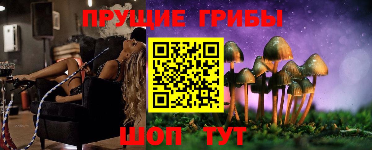 Галлюциногенные грибы Psilocybine cubensis Бузулук