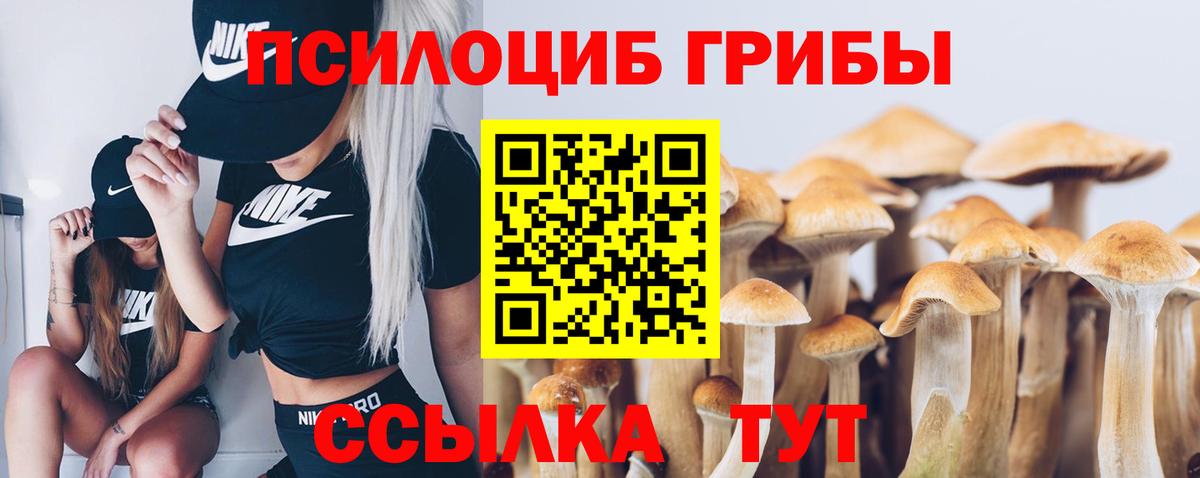 Бузулук  Галлюциногенные грибы Cubensis  Псилоцибиновые грибы мицелий  Вход с VPN 